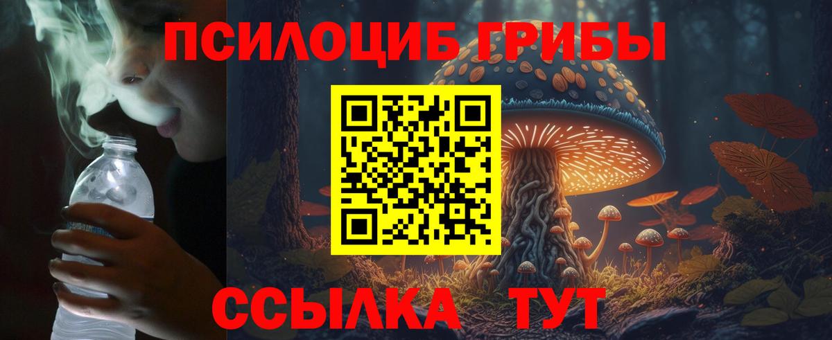 Сочи  Галлюциногенные грибы Cubensis  Вход с VPN  Галлюциногенные грибы Psilocybe 